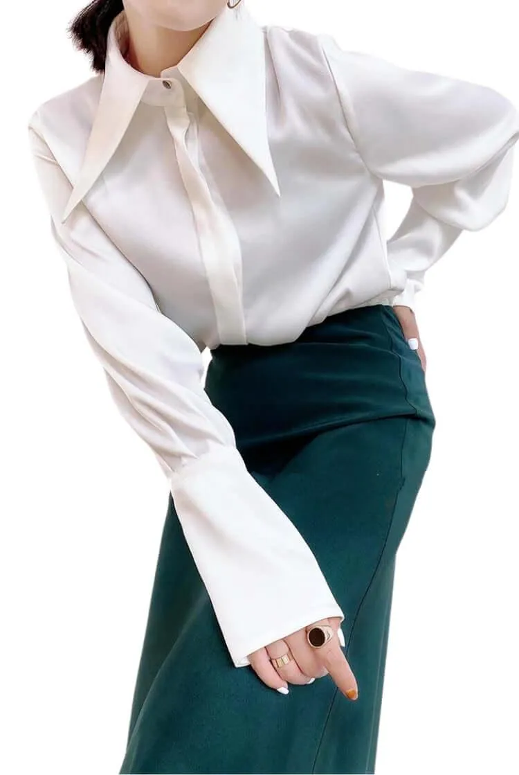 Elegant Turn Down Collar Stylish Long Sleeve Blouse