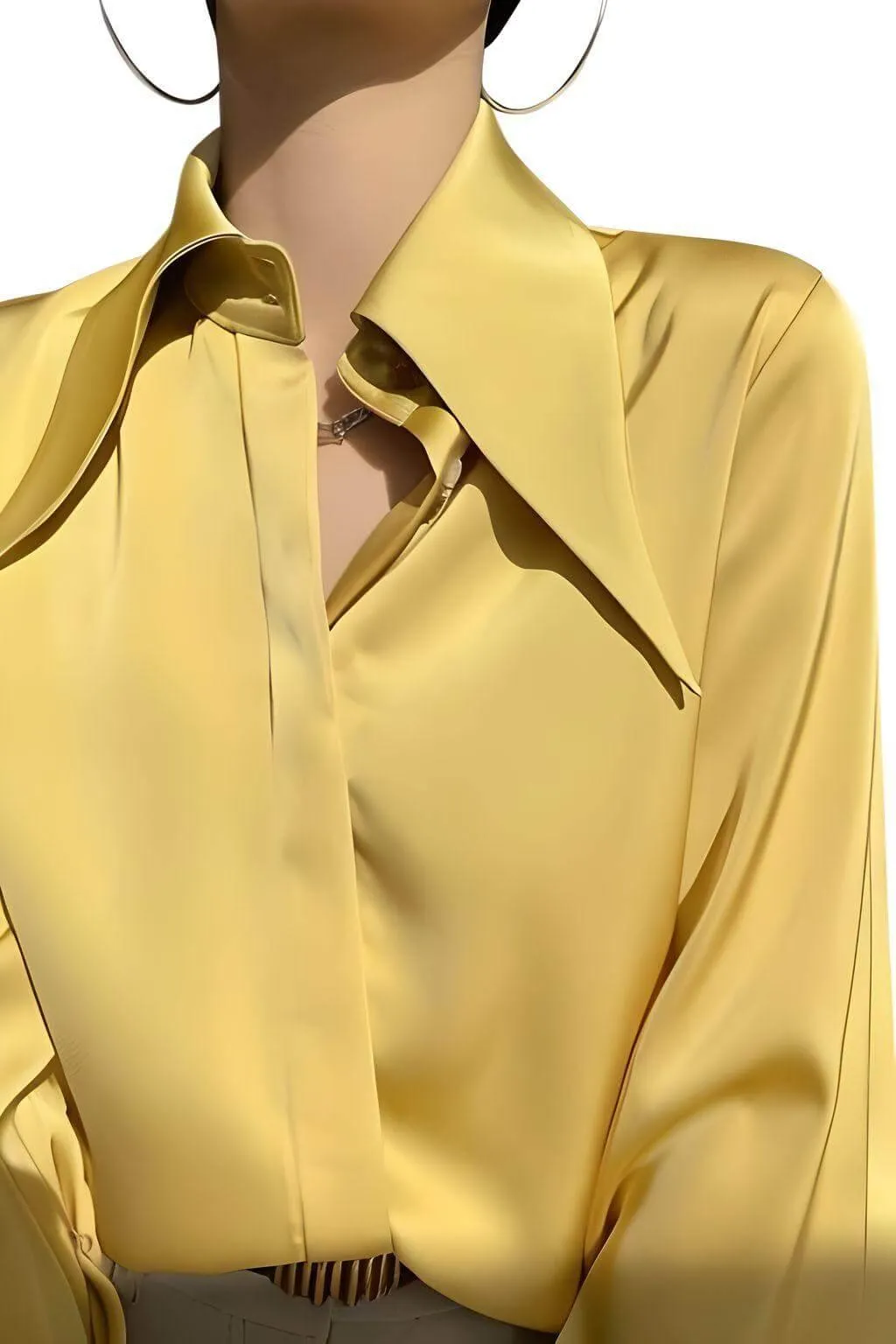 Elegant Turn Down Collar Stylish Long Sleeve Blouse