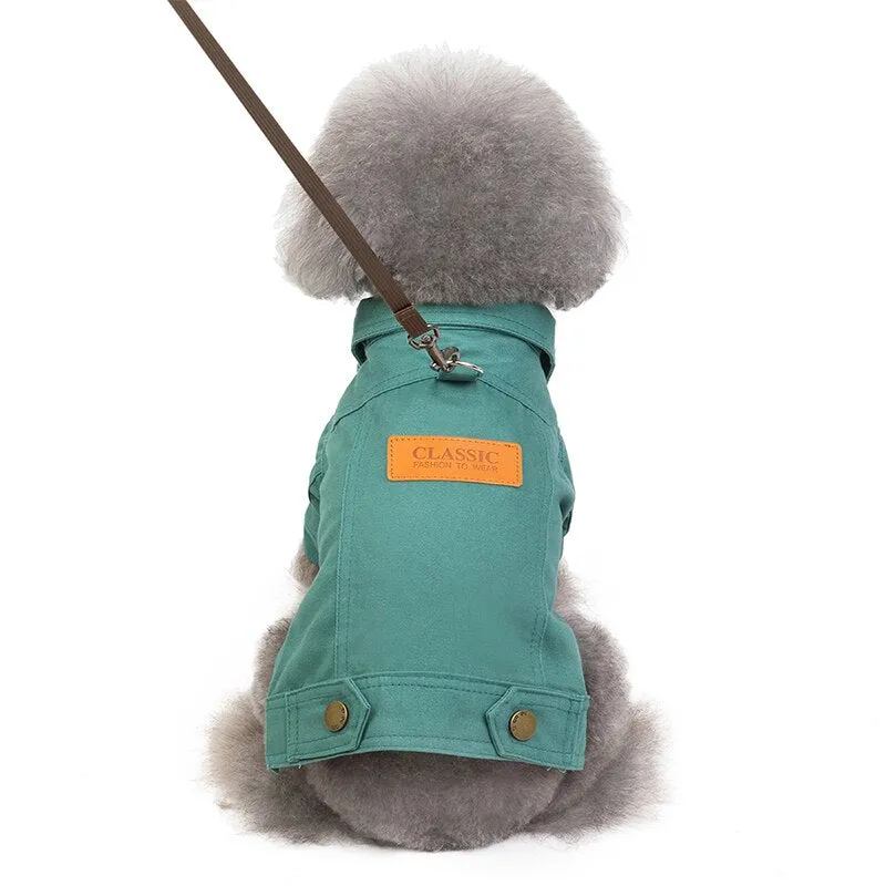 Luxury Winter Dog Jackets